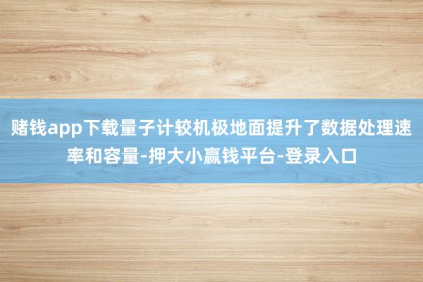 赌钱app下载量子计较机极地面提升了数据处理速率和容量-押大小赢钱平台-登录入口