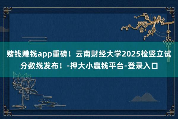 赌钱赚钱app重磅！云南财经大学2025检竖立试分数线发布！-押大小赢钱平台-登录入口