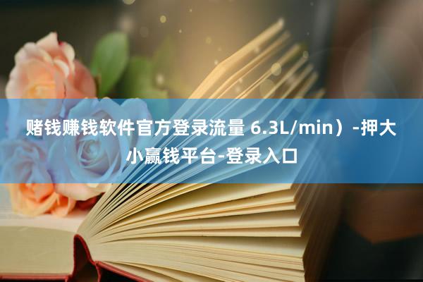 赌钱赚钱软件官方登录流量 6.3L/min）-押大小赢钱平台-登录入口