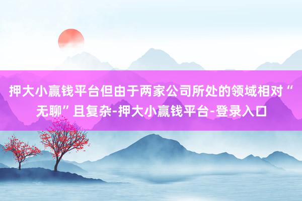 押大小赢钱平台但由于两家公司所处的领域相对“无聊”且复杂-押大小赢钱平台-登录入口