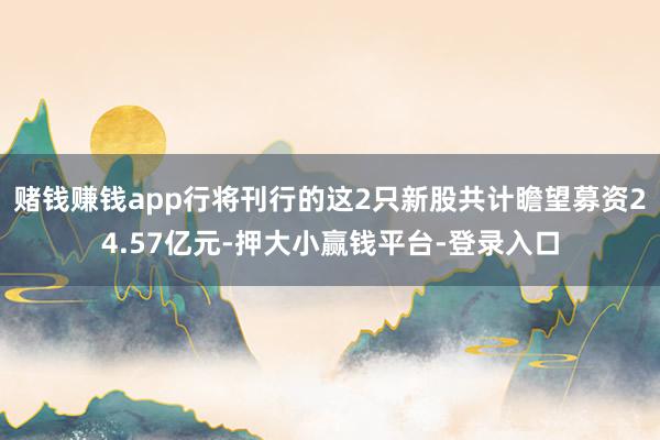 赌钱赚钱app行将刊行的这2只新股共计瞻望募资24.57亿元-押大小赢钱平台-登录入口