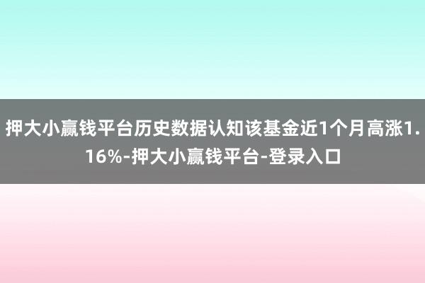 押大小赢钱平台历史数据认知该基金近1个月高涨1.16%-押大小赢钱平台-登录入口