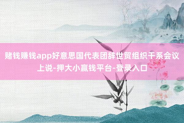 赌钱赚钱app好意思国代表团辞世贸组织干系会议上说-押大小赢钱平台-登录入口